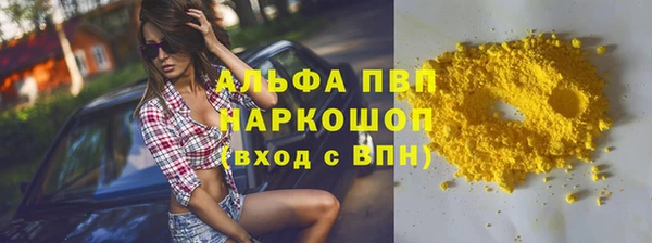 прущие грибы Богородицк