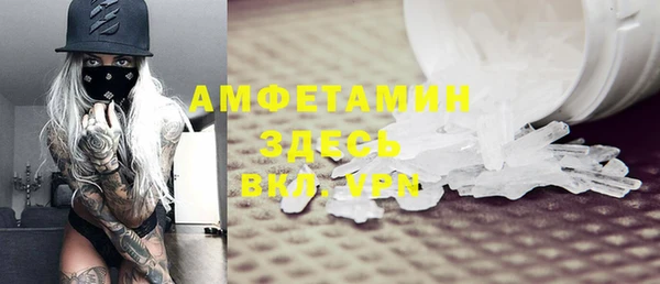 прущие грибы Богородицк