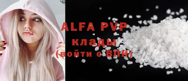 прущие грибы Богородицк