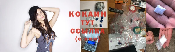 амф Бронницы