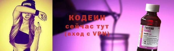 прущие грибы Богородицк