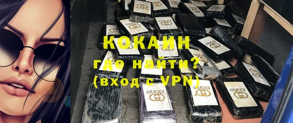 прущие грибы Богородицк