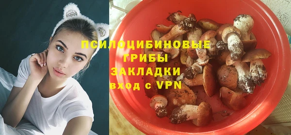 прущие грибы Богородицк