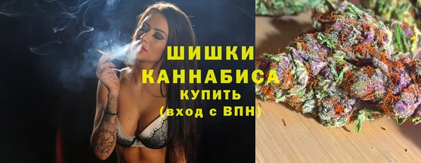 прущие грибы Богородицк