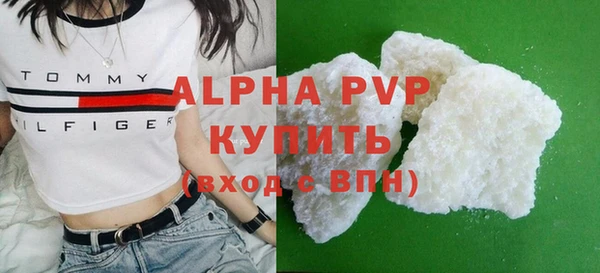 прущие грибы Богородицк